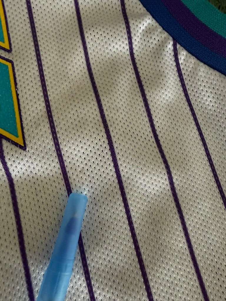 Vintage Baron Davis New Orleans Hornets Pinstripe Jersey