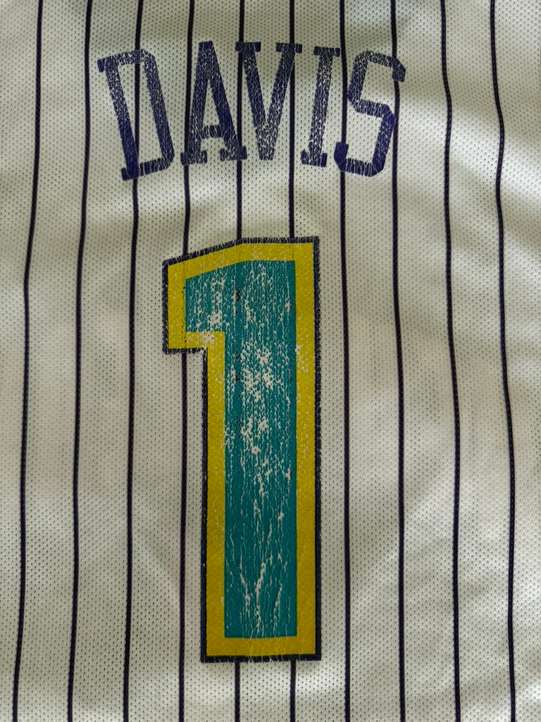 Vintage Baron Davis New Orleans Hornets Pinstripe Jersey